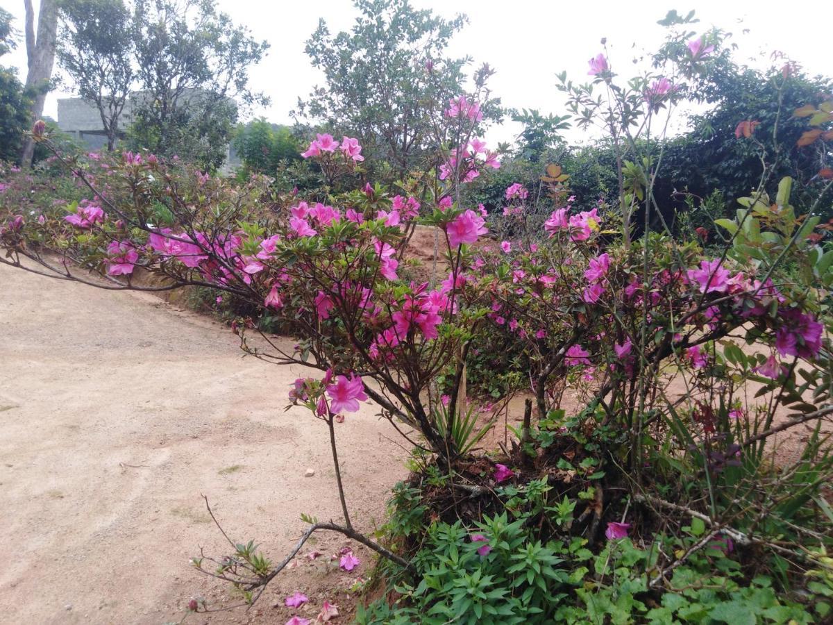 Forest Cyniciam Homestay Охия Екстериор снимка