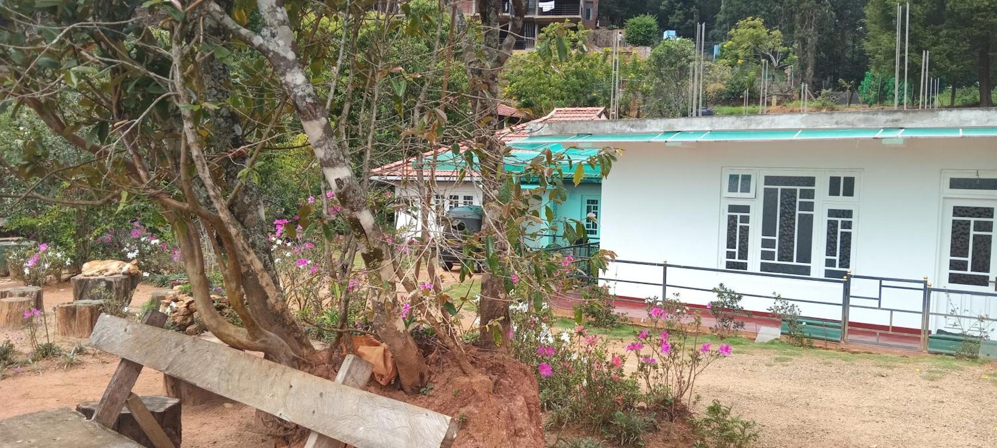 Forest Cyniciam Homestay Охия Екстериор снимка