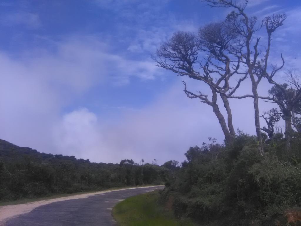 Forest Cyniciam Homestay Охия Екстериор снимка