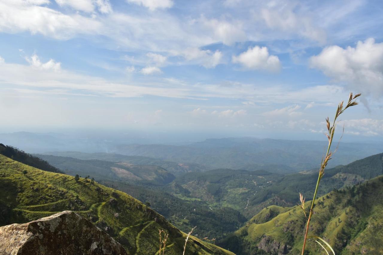 Forest Cyniciam Homestay Охия Екстериор снимка